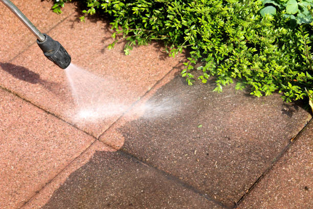 Best Best Pressure Washing Companies  in Hillview, KY